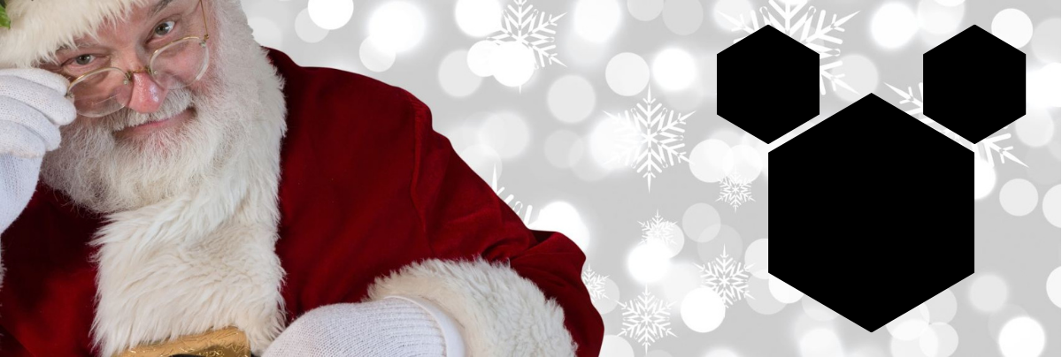 SANTA SPOTS: Your Guide to Finding St. Nick at Disney World